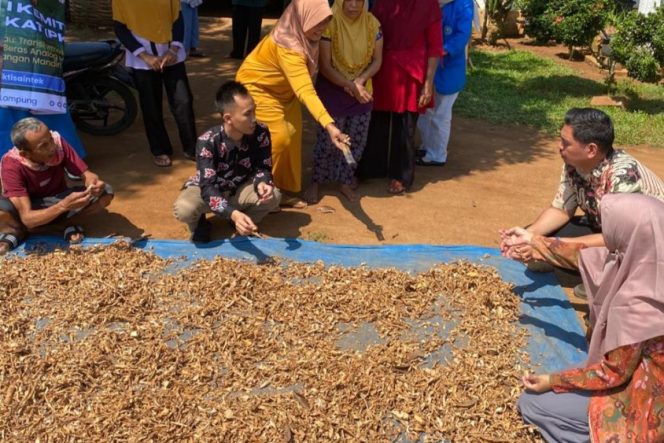 
					Transformasi Limbah di Sukoharum: Ketika Kampus Turun Tangan Cetak UMKM Cerdas