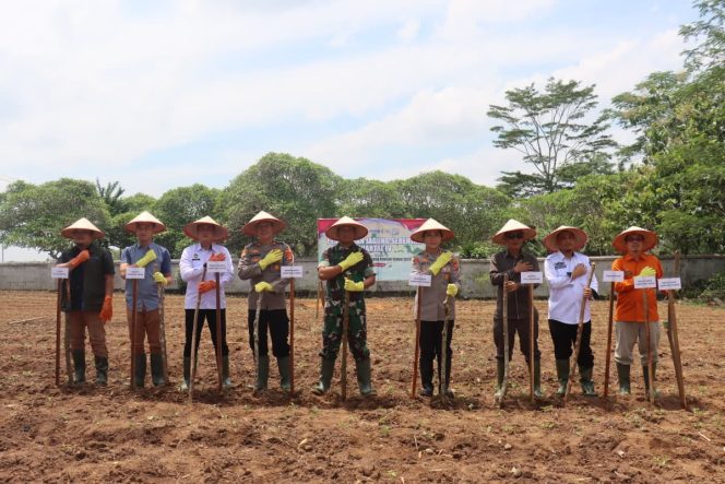 
					Bupati Lampung Timur Pimpin Penanaman Jagung Serentak untuk Swasembada 2025